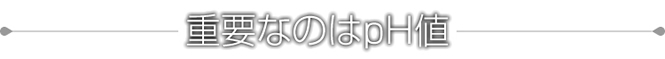 dvȂ̂pHl